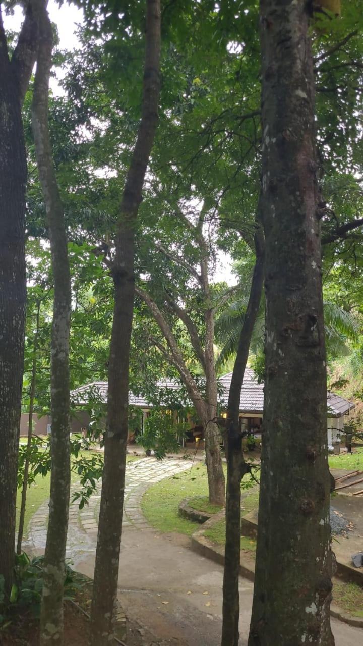 Villa D55 Kandy Extérieur photo