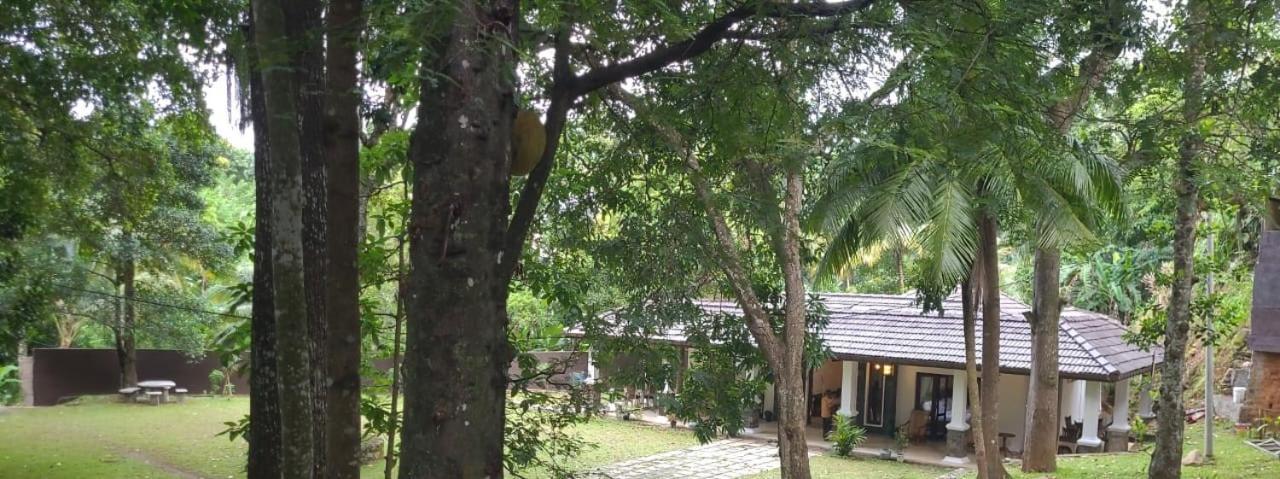 Villa D55 Kandy Extérieur photo